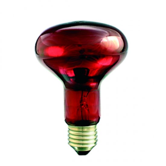 IR1 R80 240V 100W/R E27 INFRAtherm červená infra žiarovka - Kliknutím na obrázok zatvorte -